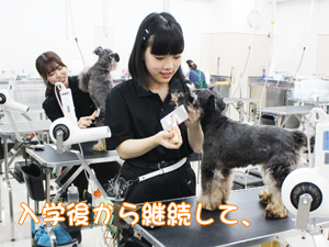 スキルアッププログラム、ラストスパート！